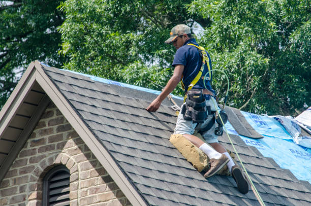 Best Roof Maintenance Services  in Berly, MO